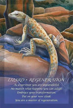 Load image into Gallery viewer, Spirit Of The Animals Oracle
