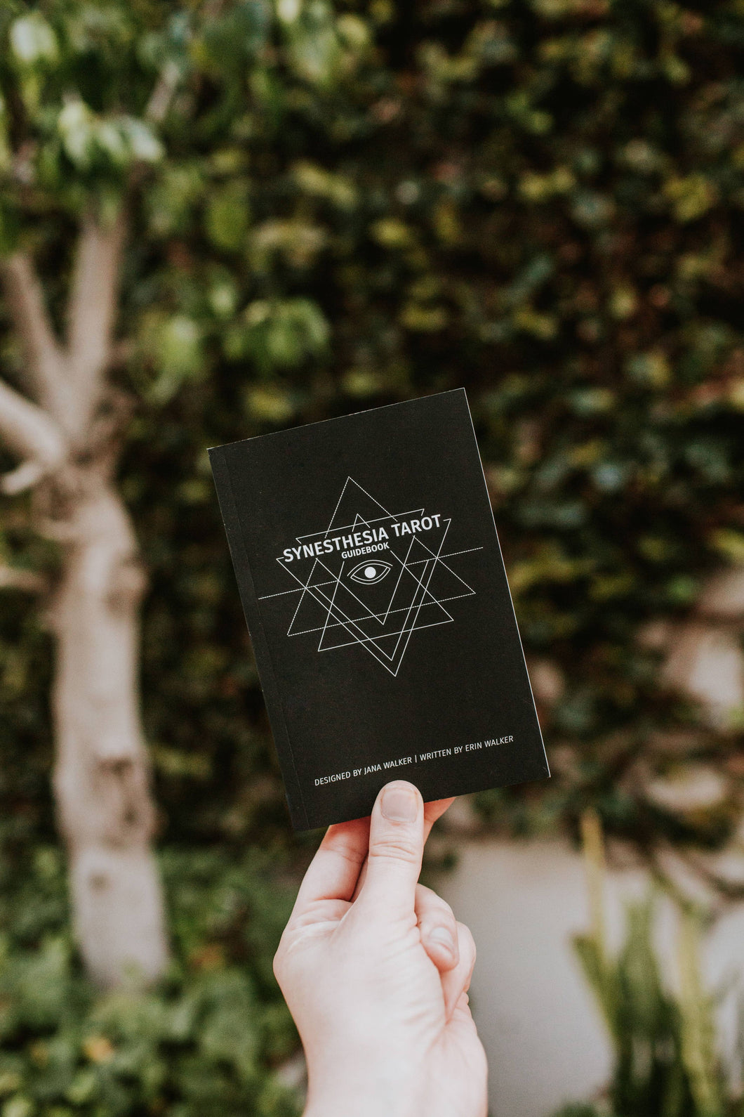 Synesthesia Tarot - Synesthesia Tarot Deck Guidebook